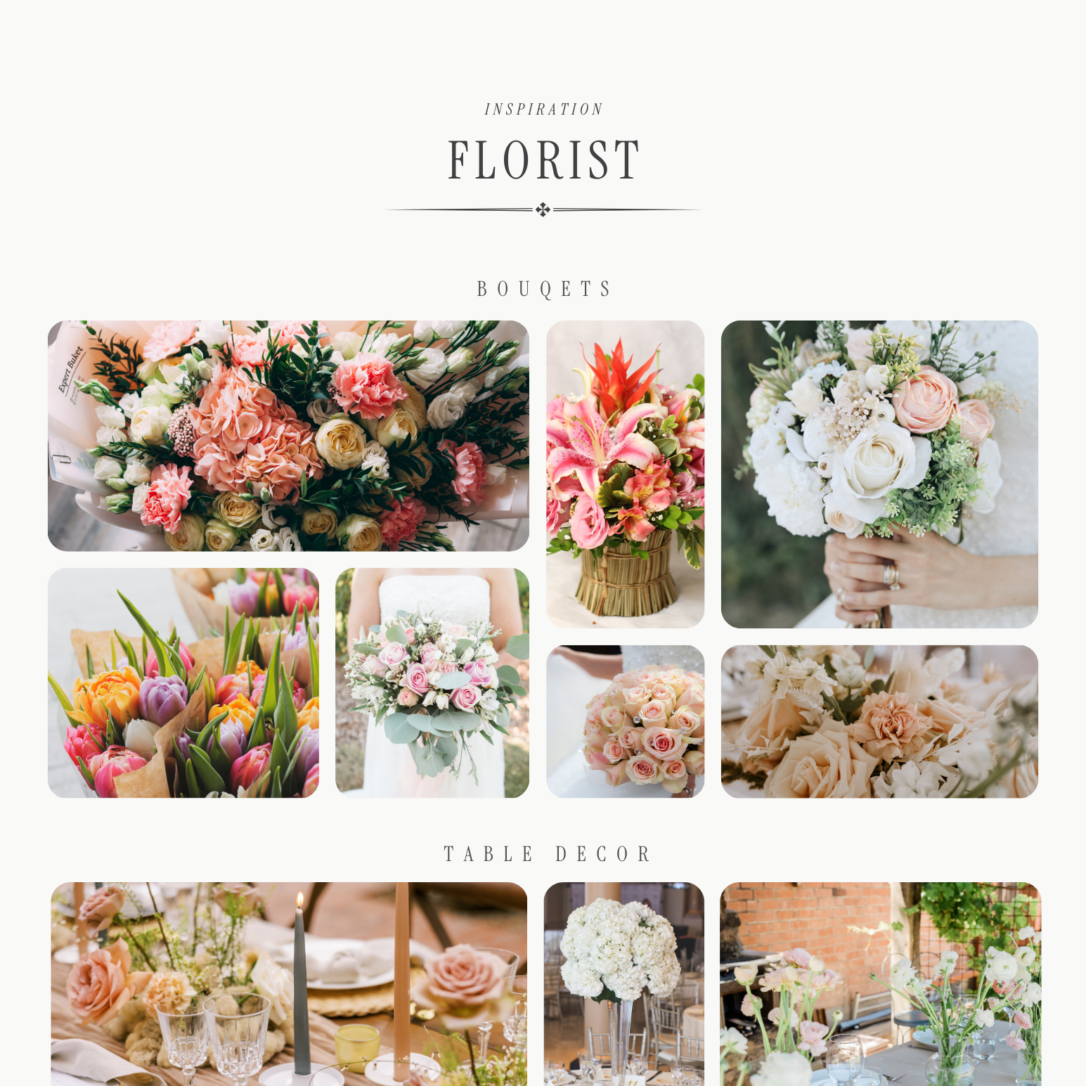 The Solesia Canva Templates